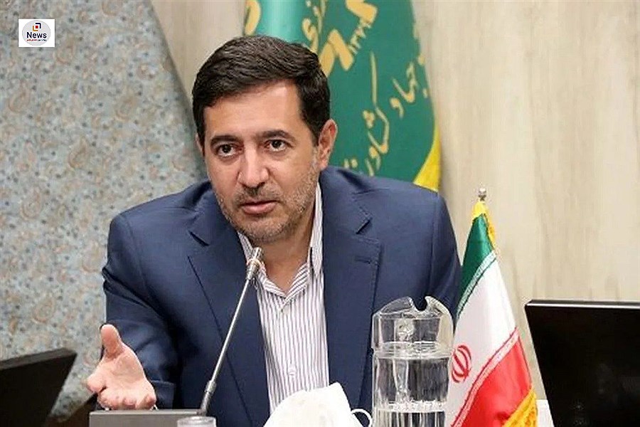 پایان کاشت طلای سفید در فارس