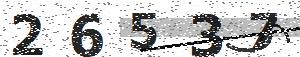 تصویر امنیتی